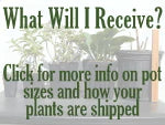 photo of various pots overlaid with text